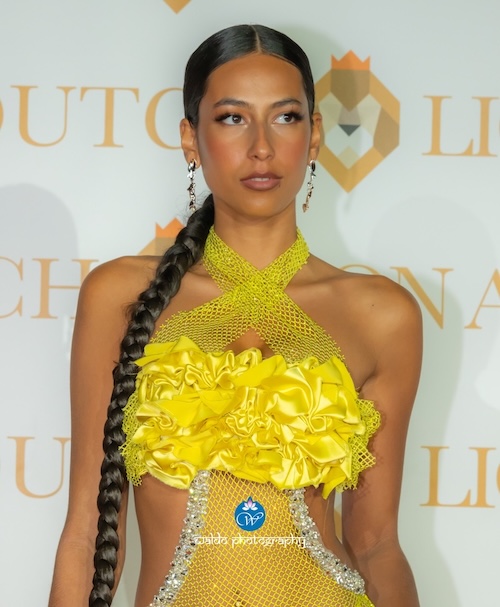 Sterre van Ouwerkerk